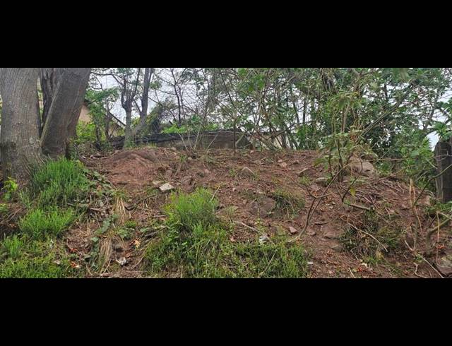 LAND FOR SALE IN WELBEDACHT